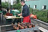 IMG_0568