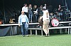 IMG_0578